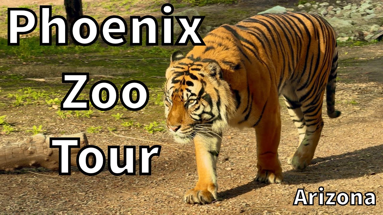 Tour of the Phoenix Zoo [2026] - Phoenix, Arizona - USA
