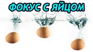 Интересные физические опыты с водой для детей