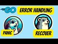 27 golang  error handling  understanding panic and recover
