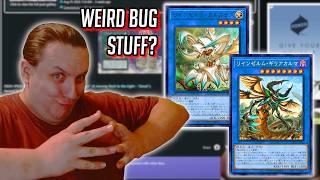 The Cycle Of Reincarnation Begins Anew With Dragon Bugs! [ New Card Blind Reaction ] [ Reindwurm ]