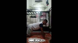 PATHFIT MODULE 4 LOCOMOTOR MOVEMENTS AND NONLOCOMOTORS MOVEMENTS.