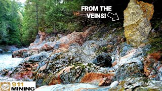 Canyon Has Gold Bearing Quartz Veins Everywhere!