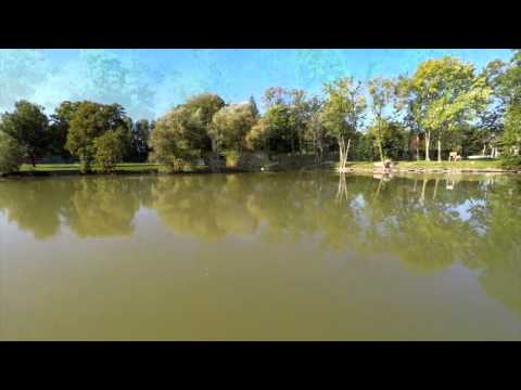 Video-thumbnail van Camping de L'Aigrette