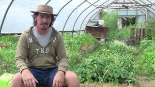 Permaculture and Transitioning Industrial Agriculture Systems