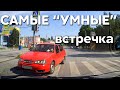 Подборка САМЫХ "УМНЫХ" водителей #388