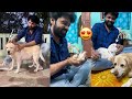 Rakshit Shetty Introduces Dog Charlie Cute Puppies | Dog Charlie Cute Visuals | 777 Charlie