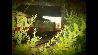 DSCF0194 DSCF0194