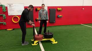 Sled March