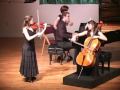 Oblivion  astor piazzolla ekaterina tarasovaviolin andrea casarrubioscello adam nielsenpiano