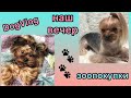 DogVlog: НАШ ВЕЧЕР / ЗООПОКУПКИ