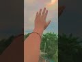 Hand #shorts #funny