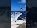 Marlin vs Boat… Ocean Missile Shock! 🐟🚤청새치 vs 보트… 바다 미사일 충격! 🐟🚤カジキ vs ボート…海の弾丸衝撃！高速巨大空中直撃恐怖瞬間超リアル!🐟🚤