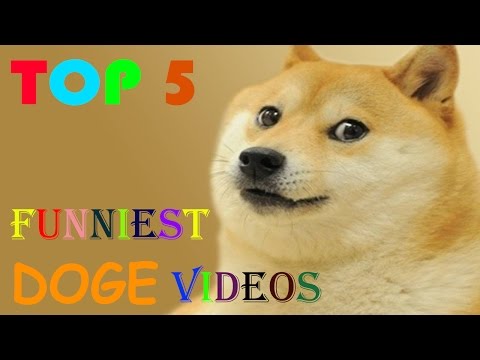 top-5-funniest-doge-videos