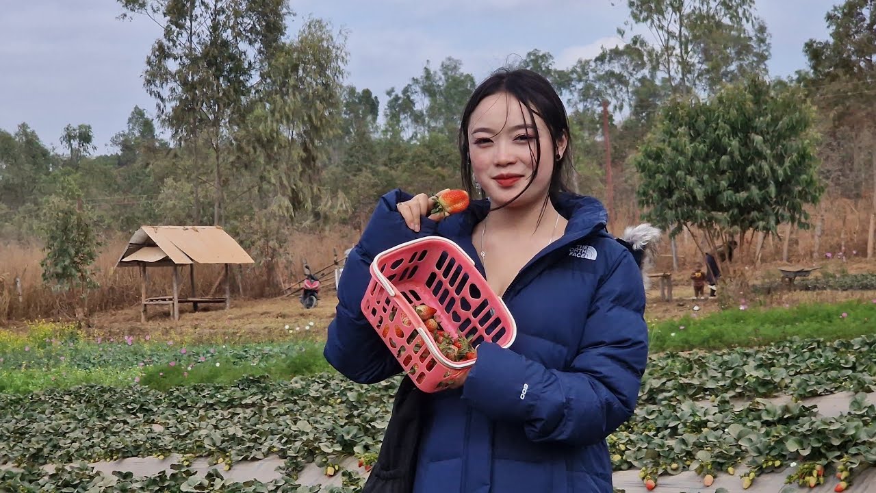Nkauj mim wb mu de strawberry 🍓 ntau heev lis
