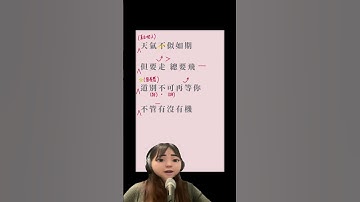 Thumbnail of 歲月如歌速食唱歌堂 by Heyman_music #shorts