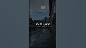 {وَٱغۡفِرۡ لِأَبِيٓ إِنَّهُۥ كَانَ مِنَ ٱلضَّآلِّينَ} | محمد صديق المنشاوي | سورة الشعراء.