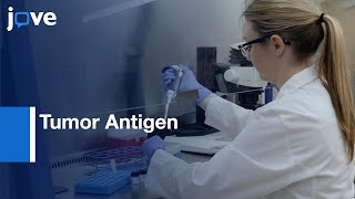 Tumor Antigen-specific T Cells Generation for hiPSCs | Protocol Preview