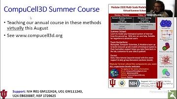 CompuCell3D COVID Modeling Workshop Part I (Incomplete)