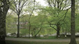 EMC Frontline Intern video