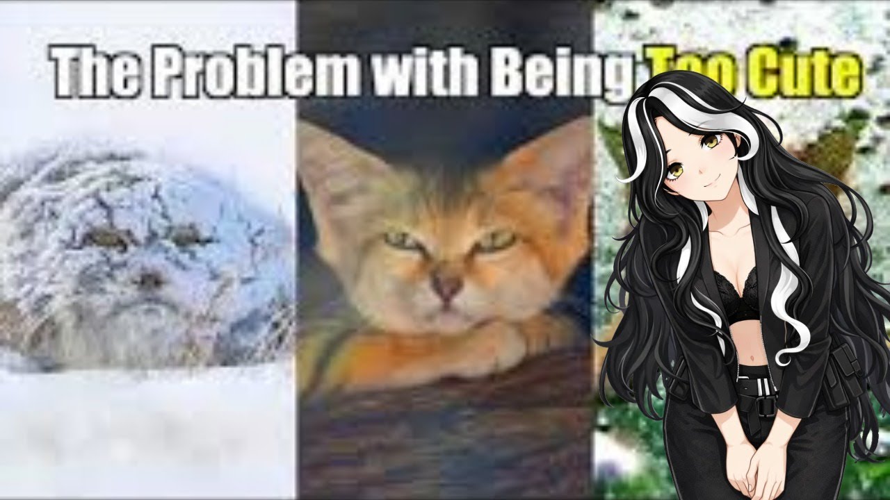 PanPan reacts to The Depressing Reality of Being a Small Cat by Casual Geographic