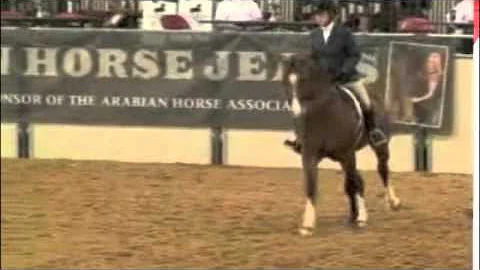 Sport Horse Nat'l  Championships 2010  - HA/AA Wor...