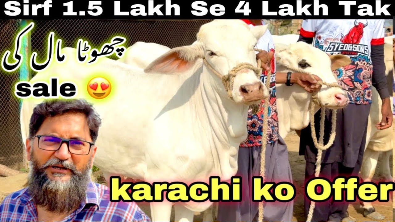 sale-qurbani-2024-ab-sirf-1-lakh-50-hazar-me-mandi-se-sasta