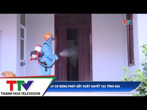 Video Nguy cơ bùng phát sốt xuất huyết tại Tĩnh Gia - youtube