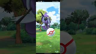 Pokemon GO | Level 5 Raid | Tapu Fini