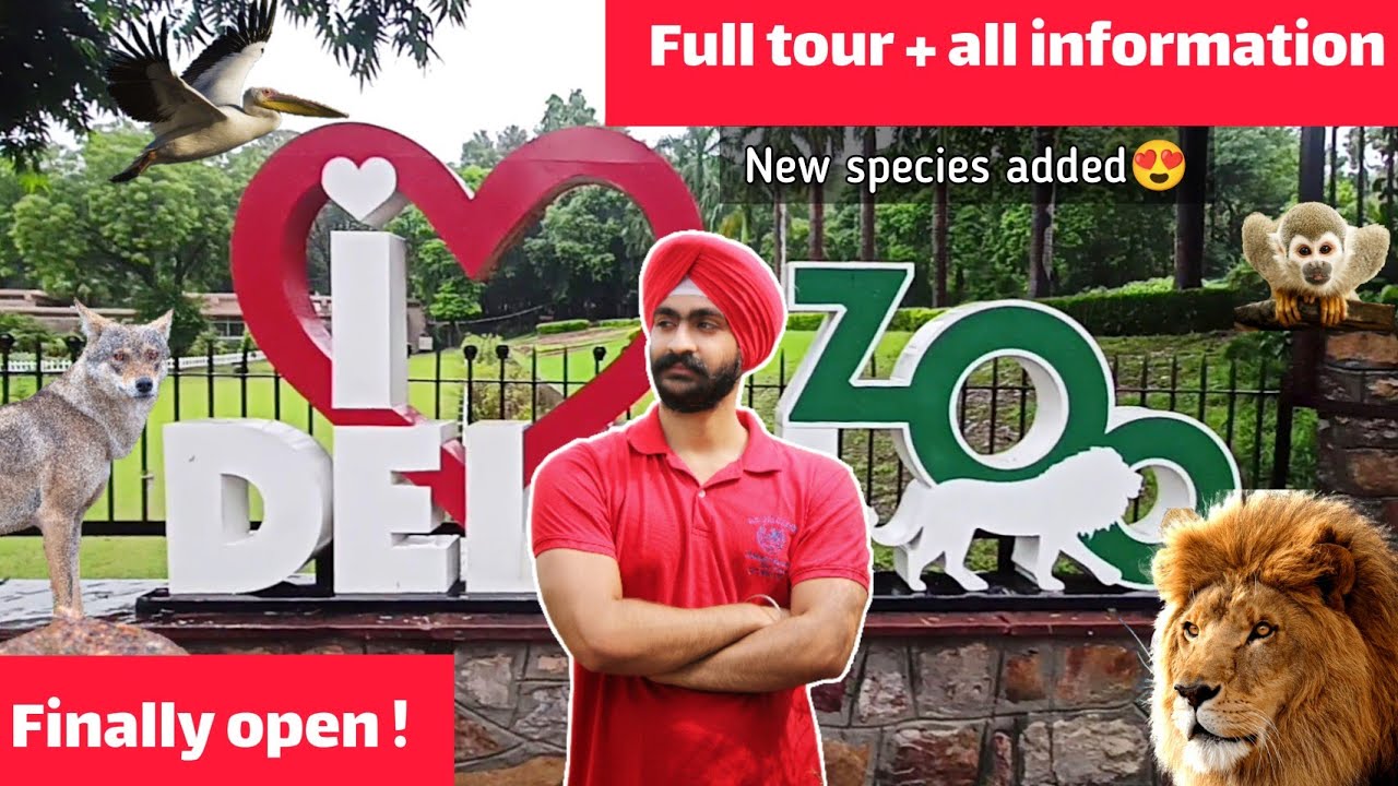 Soul Shot Firing Range Punjabi Bagh Club Shooting Range In Delhi Places To Visit In Delhi Ncr Youtube