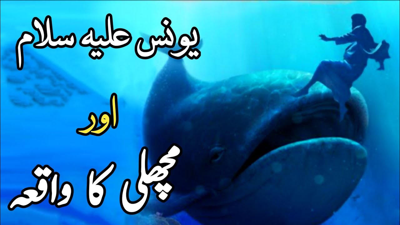 Hazrat Younas Aur Machli Ka Waqia Islamic Story Urdu Hindi Youtube