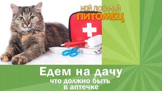 Едем на дачу. Что положить в аптечку питомца Едем на дачу. Что положить в аптечку питомца