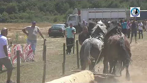 -Boko Jugovic (Cvjetko i Putko ) u lakoj kategorij...