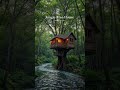 POV: Building a Tree House in the Jungle (Time-Lapse)