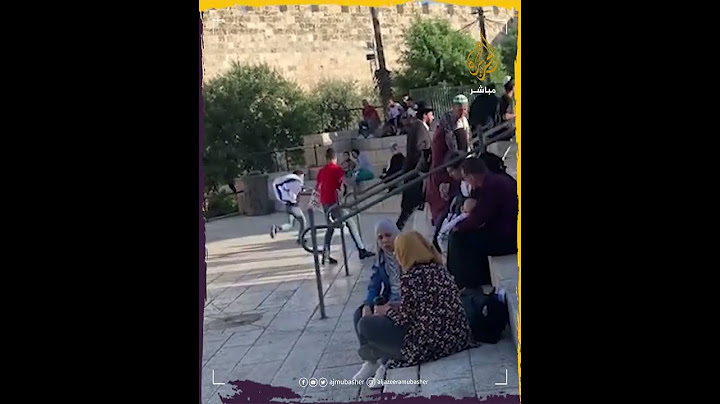 معركة الأعلام.. طفل يحاول انتزاع العلم الإسرائيلي من مستوطن