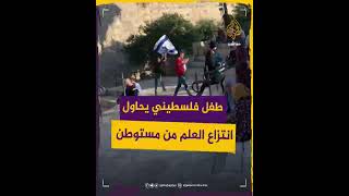 معركة الأعلام.. طفل يحاول انتزاع العلم الإسرائيلي من مستوطن
