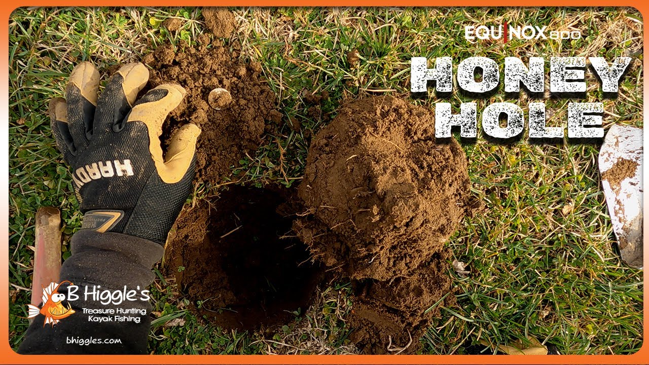 Металлоискатель Perfect Plugs & RITZY TREASURES Park с оборудованием Minelab Equinox 800.