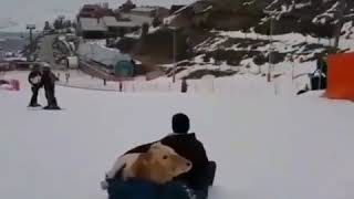 Palan döken dumanlı oy ana oy ana nazlı yar 🤗