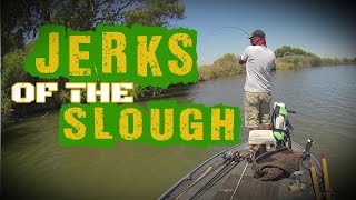 Jerks of the Slough (Mendota Bass Fishing) screenshot 2