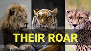 Dengerous Roar Of Lion Tiger Cheetah