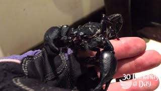 Why We Always Check Our Shoes In Thailand