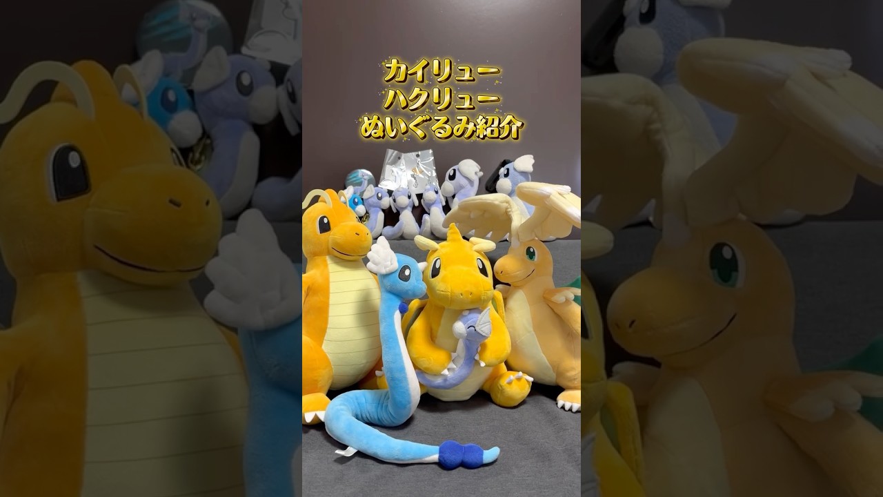 カイリューハクリューぬいぐるみ紹介✨#pokemon #カイリュー