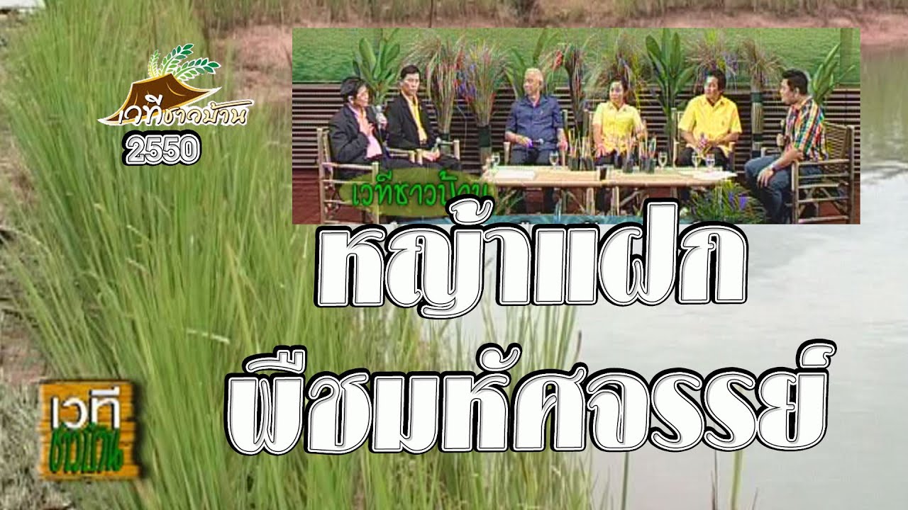 หญ้าแฝก พืชมหัศจรรย์ - เวทีชาวบ้าน ตอนที่ 440
