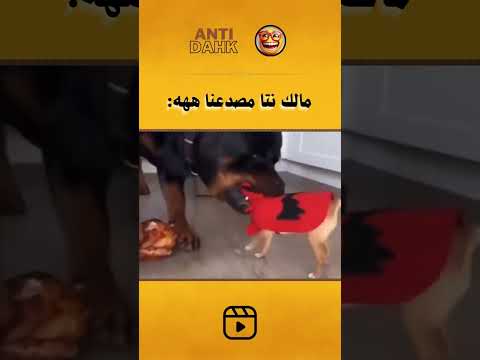 مالك مصدعنا     