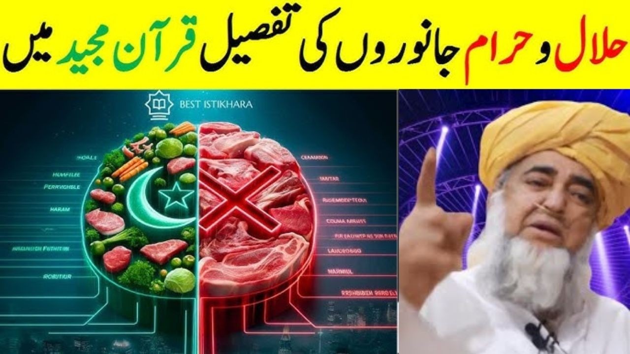 Halal Aur Haram Janwar in Islam | Quran Se Daleel | Urdu Bayan | Learn Quran Online