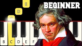 Für Elise - Very Easy Piano tutorial - Beginner screenshot 4