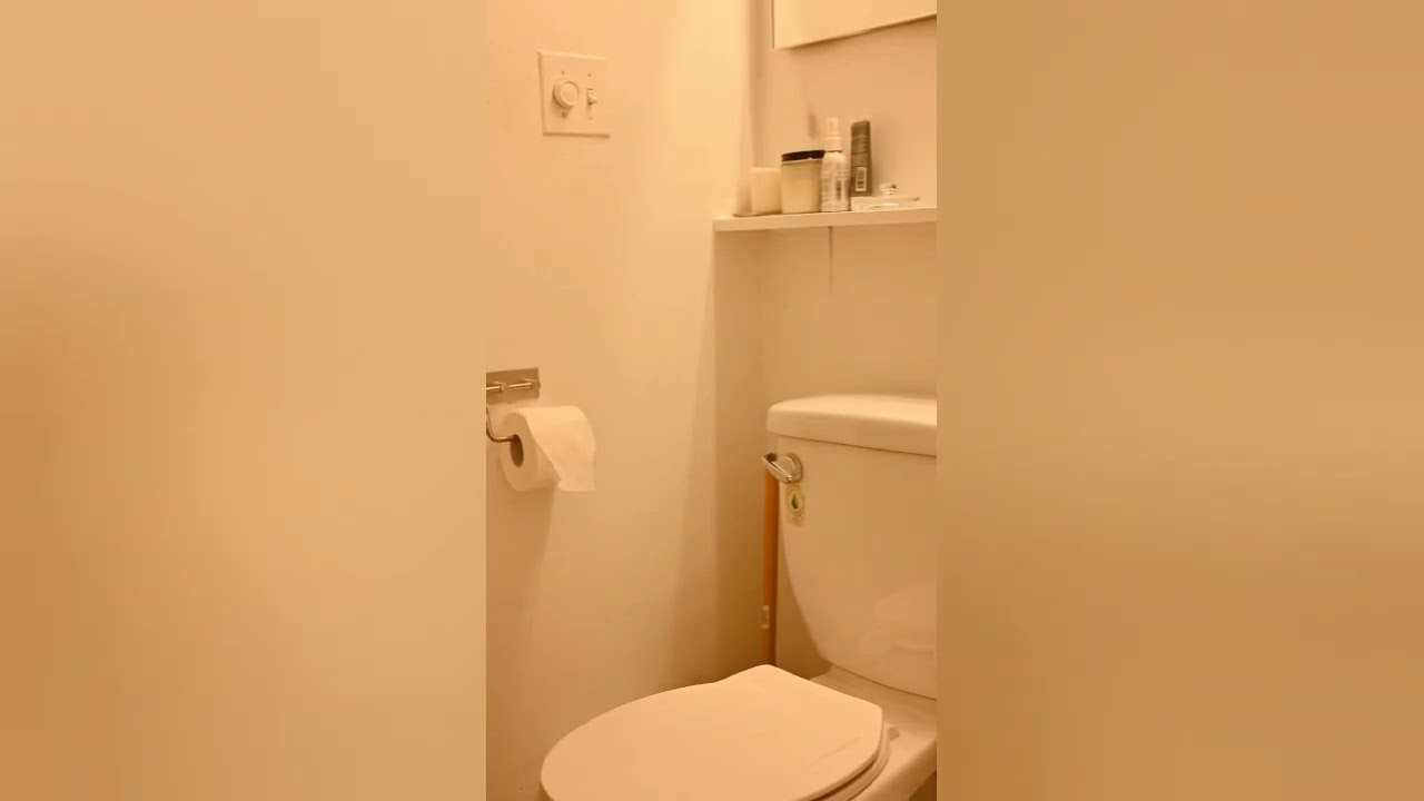 Why collect Putin's excrement in suitcases|पुतिन के मलमूत्र कोसूटकेसमेंक्यों इकट्ठाकरते हैं