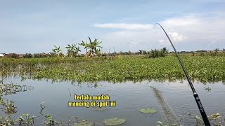 Siapa sangka ada ikan nya || full strek bertubi-tubi