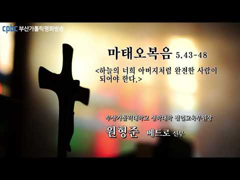 영상썸네일