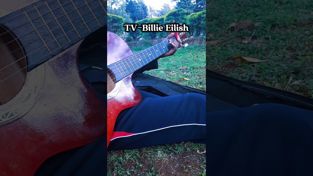 TV by Billie Eilish #acoustic #acousticcover #billieeilish #guitarcover #emotionalmusic #shorts #fyp