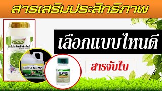 สารเสริมประสิทธิภาพ หรือ สารจับใบ ทางการเกษตร (มีให้เลือกแบบไหนบ้าง)